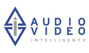 Audio Visual Intelligence