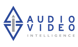 Audio Visual Intelligence