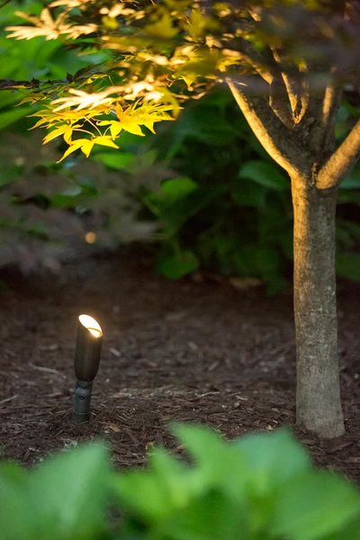 Smart Home Lighting from Lutron