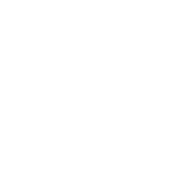 In-Wall/In-Ceiling Speakers