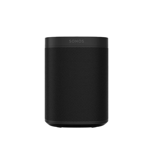 Smart Home Voice Control Assitants