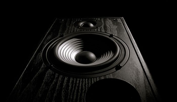 Whole Home Audio Systems - Wired or Wireless?