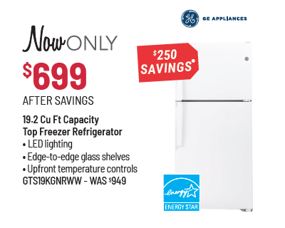 GE Appliances Model GTS19KGNRWW Refrigerator Was $949, Now Only $699 After $250 Savings