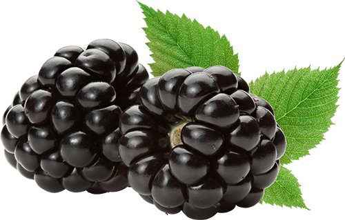 blackberries