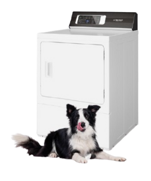 Speed Queen Dryer and black & white dog