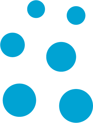 Text that appears when image does not show