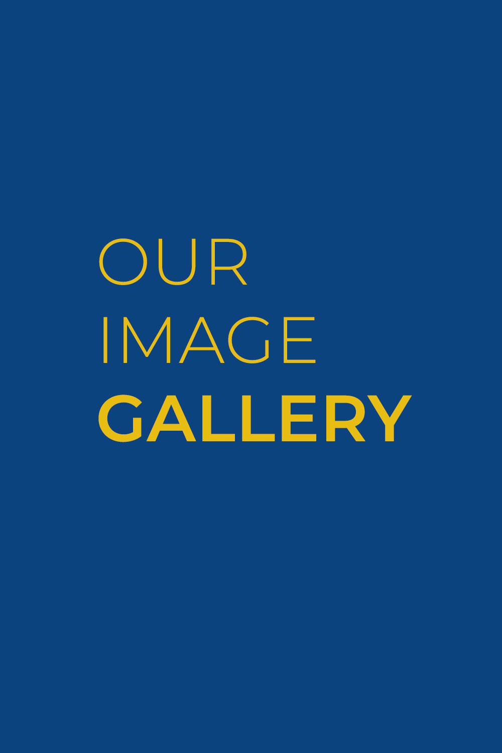 Our Image Gallery