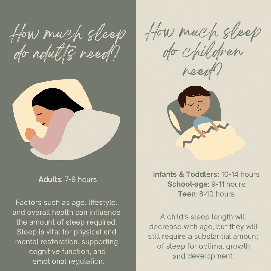 Sleep Infographic