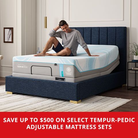 Where Tampa Bay Buys Tempur-Pedic