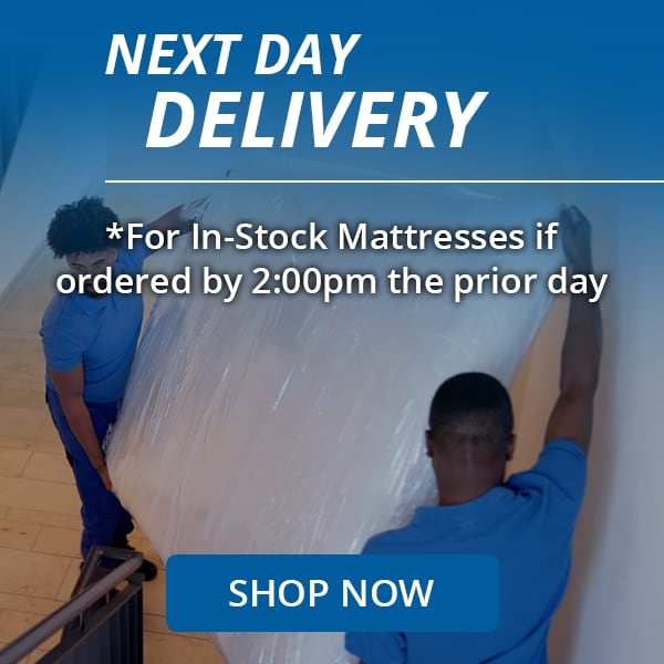 Next Day Delivery