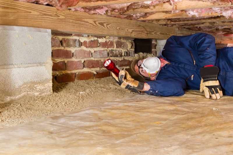 Termite Control