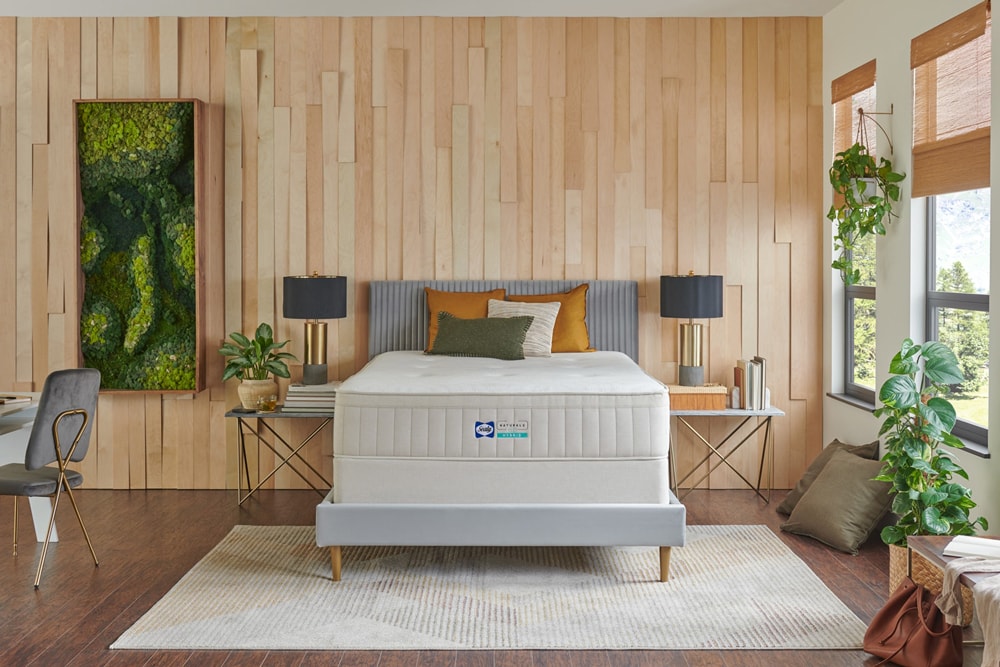 Sleep Quiz