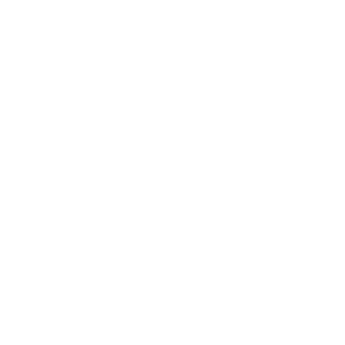 quick delivery guarentee