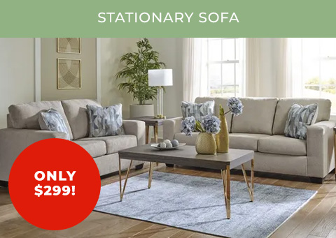 Stationary Sofa by Ashley furniture only $299