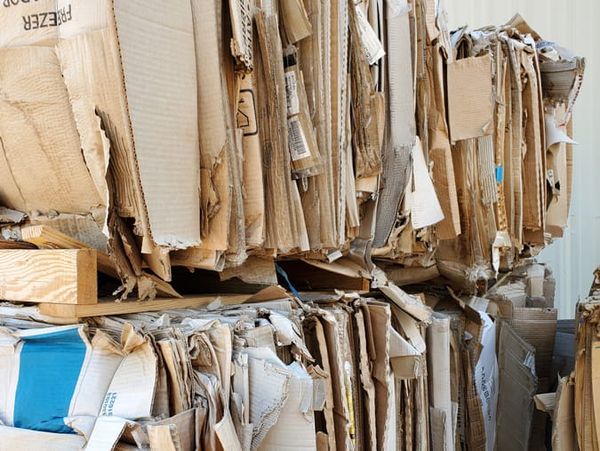 Cardboard