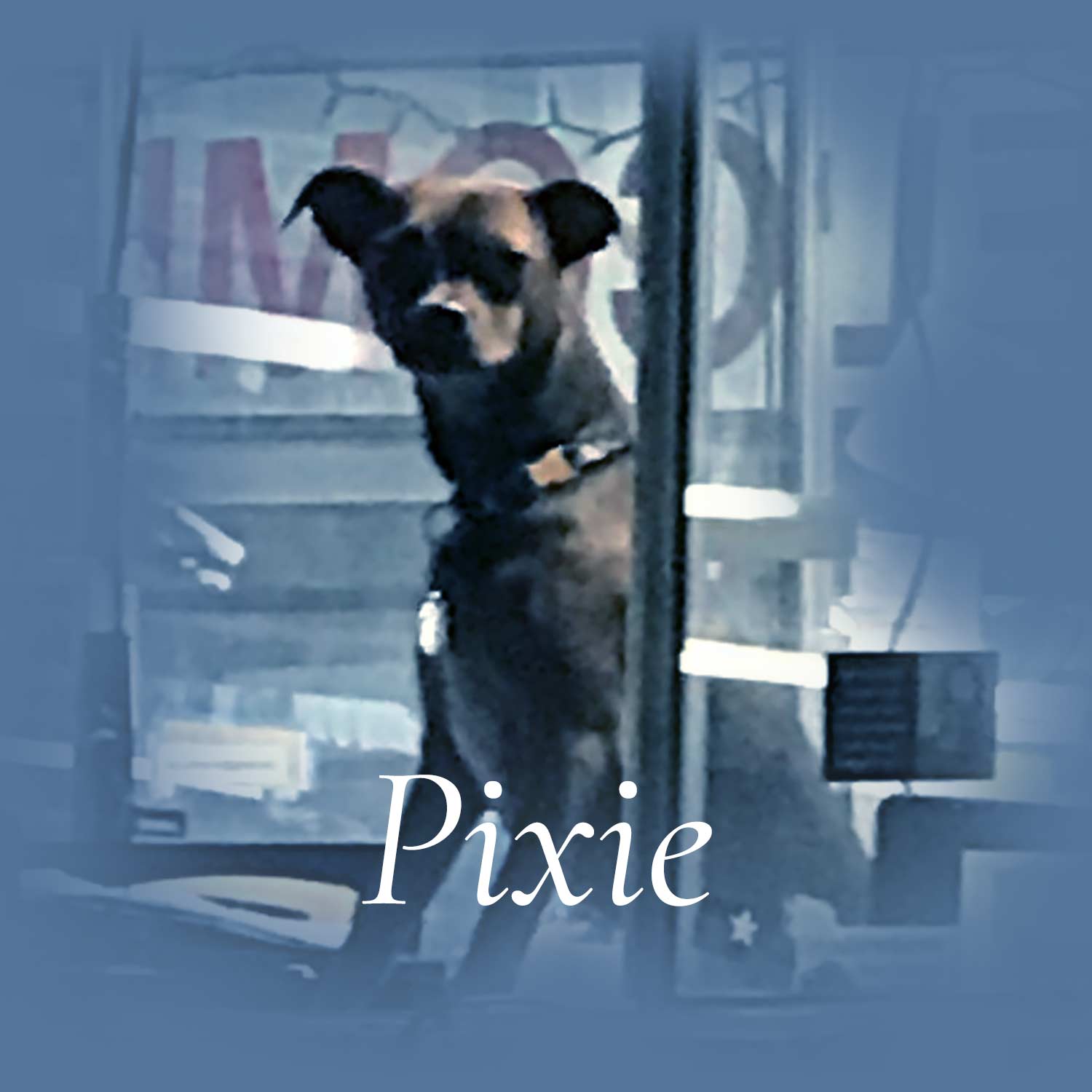 Meet Pixie