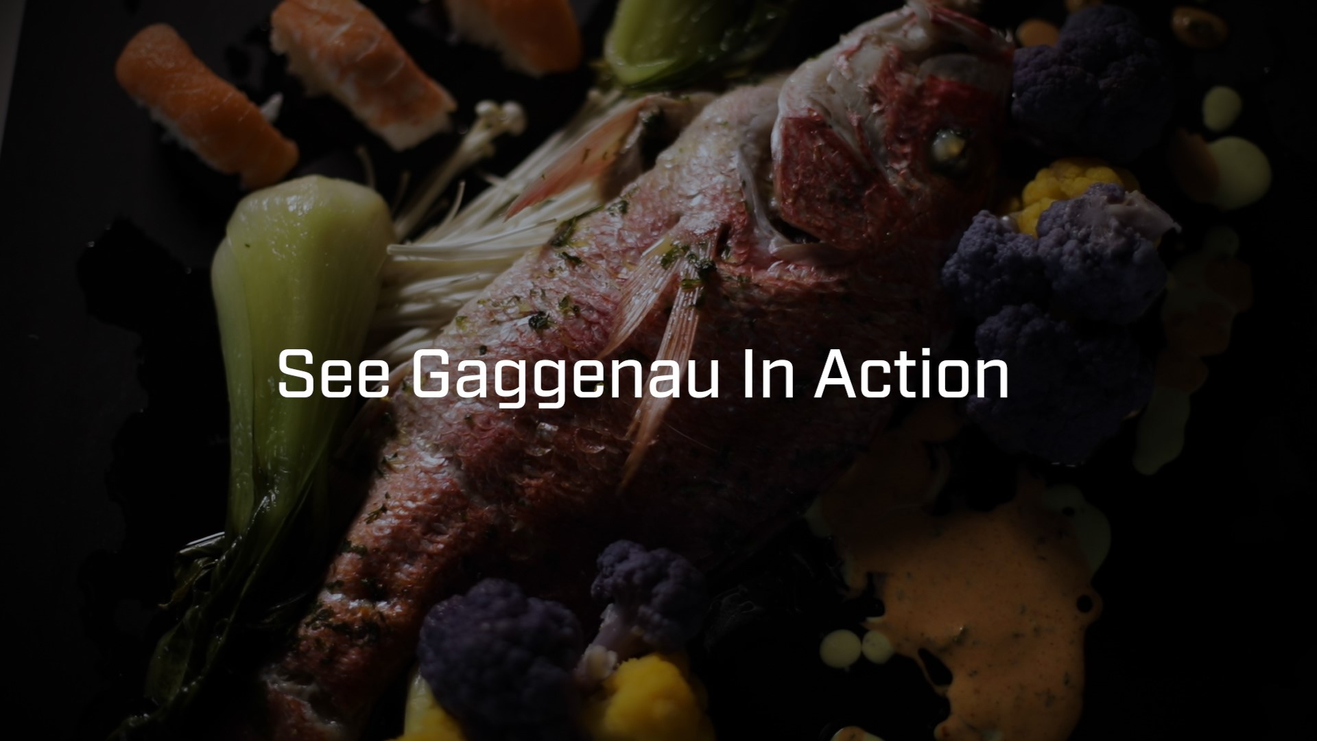 Gaggenau Video