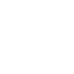 HSD Logo