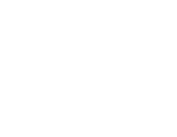 Prime1 Logo