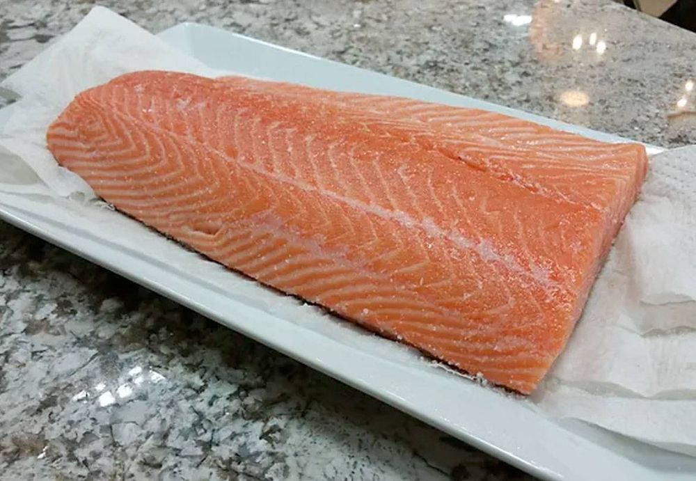 Salmon
