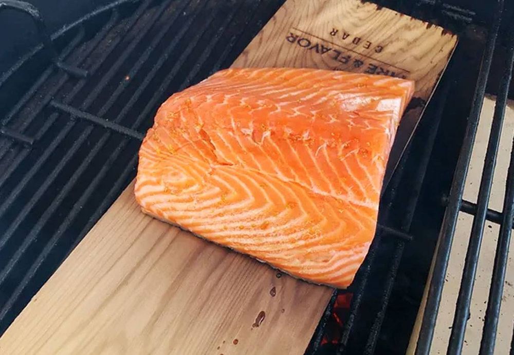 Salmon