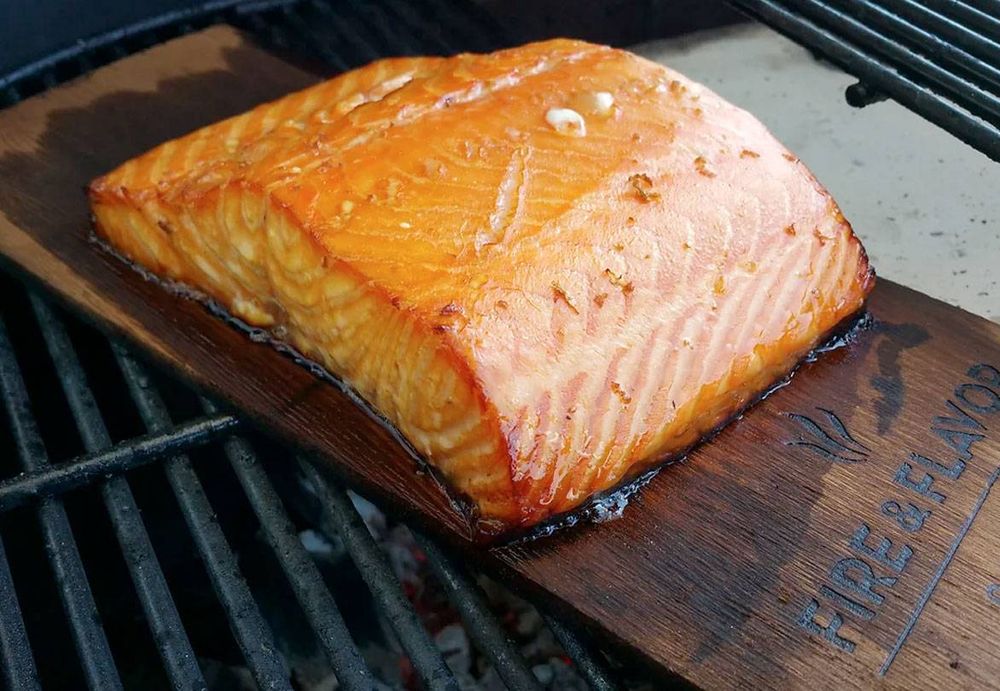 Salmon