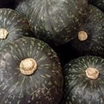 Kabocha Squash Crostini