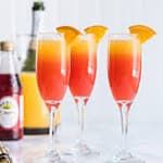 Passion Mimosa