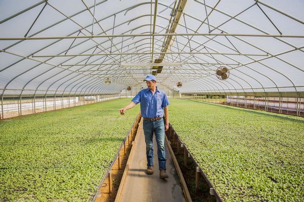 PROPANE FOR YOUR AGRIBUSINESS