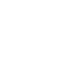 Buster & Punch Logo