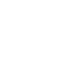 Lodes Logo