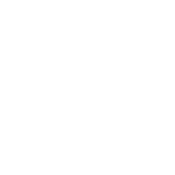 Maax Logo
