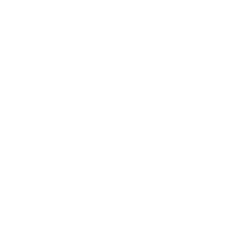 MSI Logo
