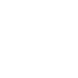 Newport Brass Logo