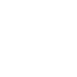 Watermark Logo