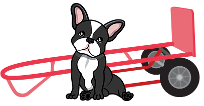 Cash the dog logo