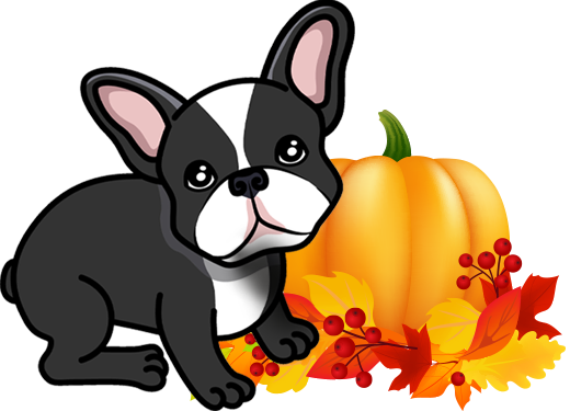 Cash the dog logo