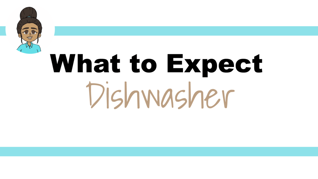 Delivery - Dishwashers