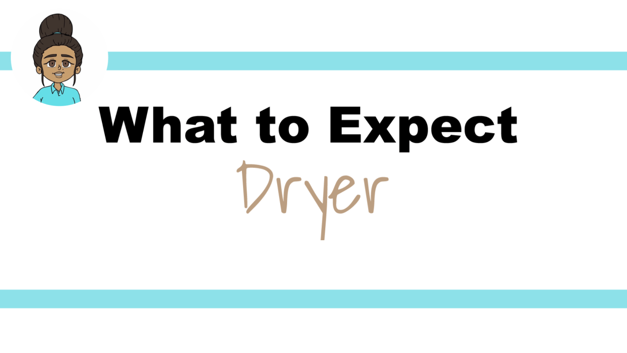 Delivery - Dryers