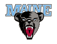 Text that appears when image does not show