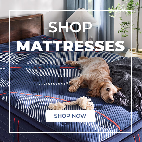 Shop Mattresses