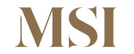 MSI Stone