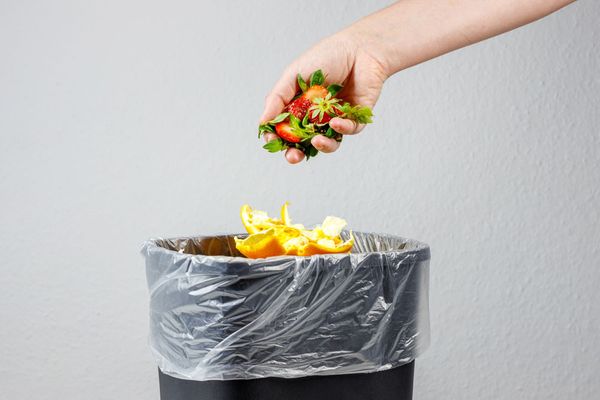Food Storage