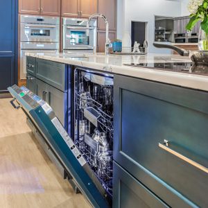 Dishwasher kitchen