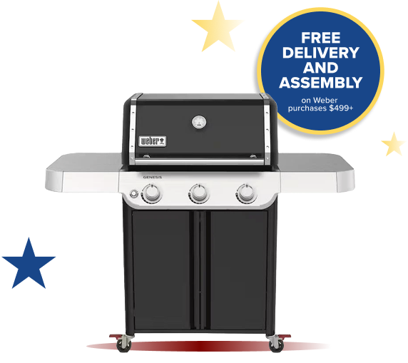 Weber Grill