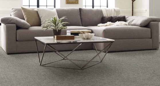 Carpet
