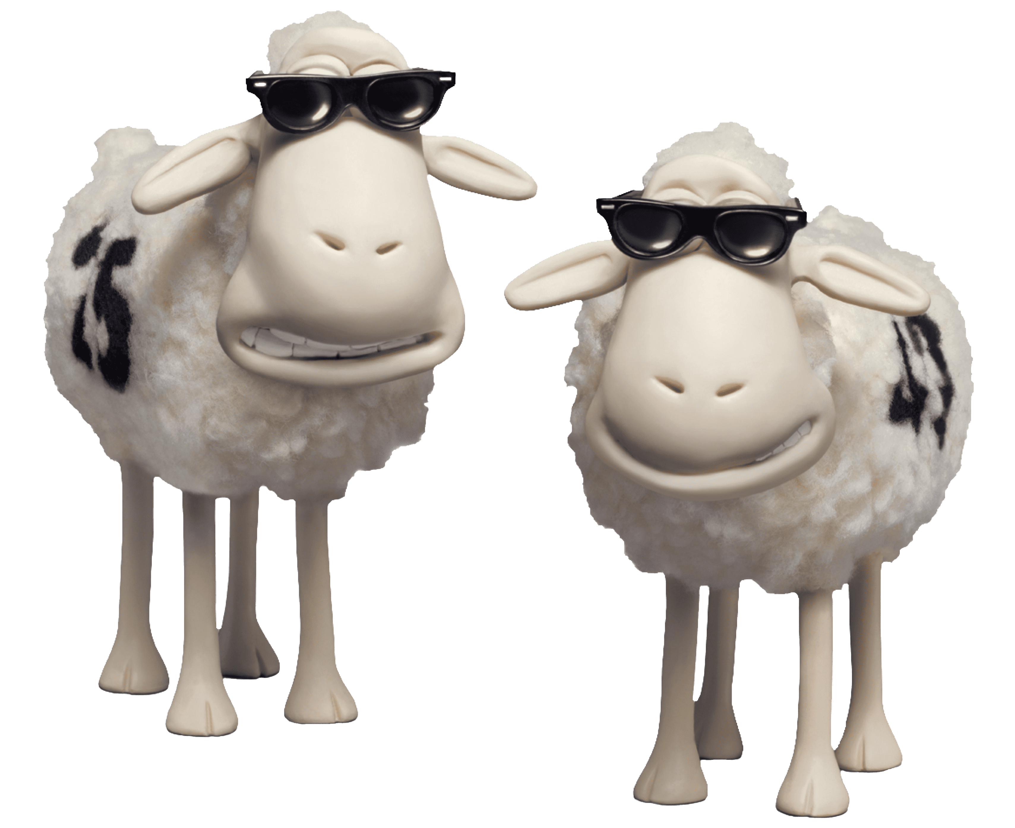 Serta Sheep
