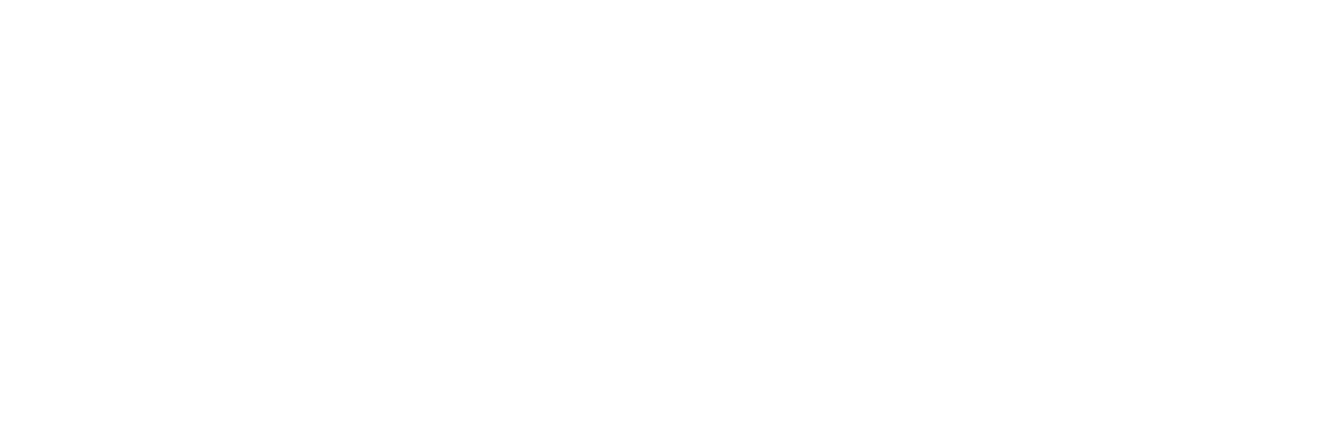 Stearns & Foster Logo