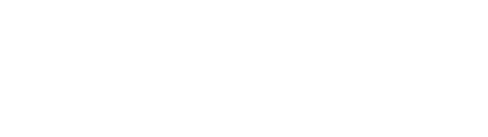 Aladdin Commercial Logo