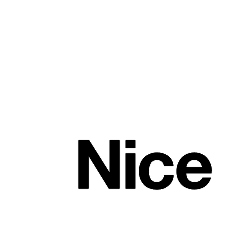 Nice Logo